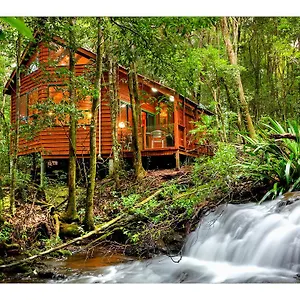 The Mouses House Rainforest Retreat Springbrook